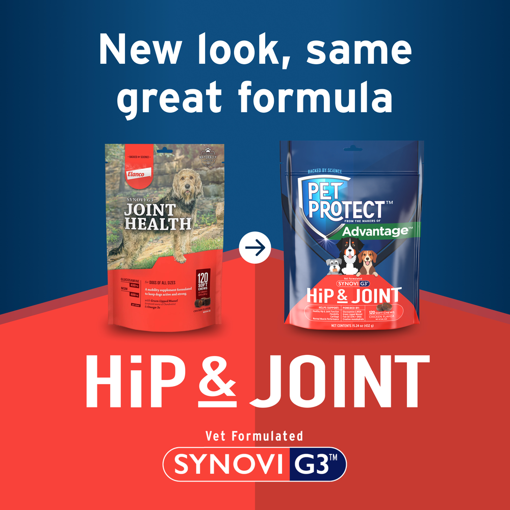 Synovi G3 Soft Chews Joint Supplement for Dogs