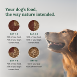 360 Pet Nutrition Multi-Meat Freeze-Dried Raw Complete Meal for Adult Dogs