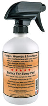 Banixx Horse and Pet Care - economical 16 oz.