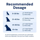 Doggy Biome GMP Gut Maintenance Plus for Dogs, 60-count