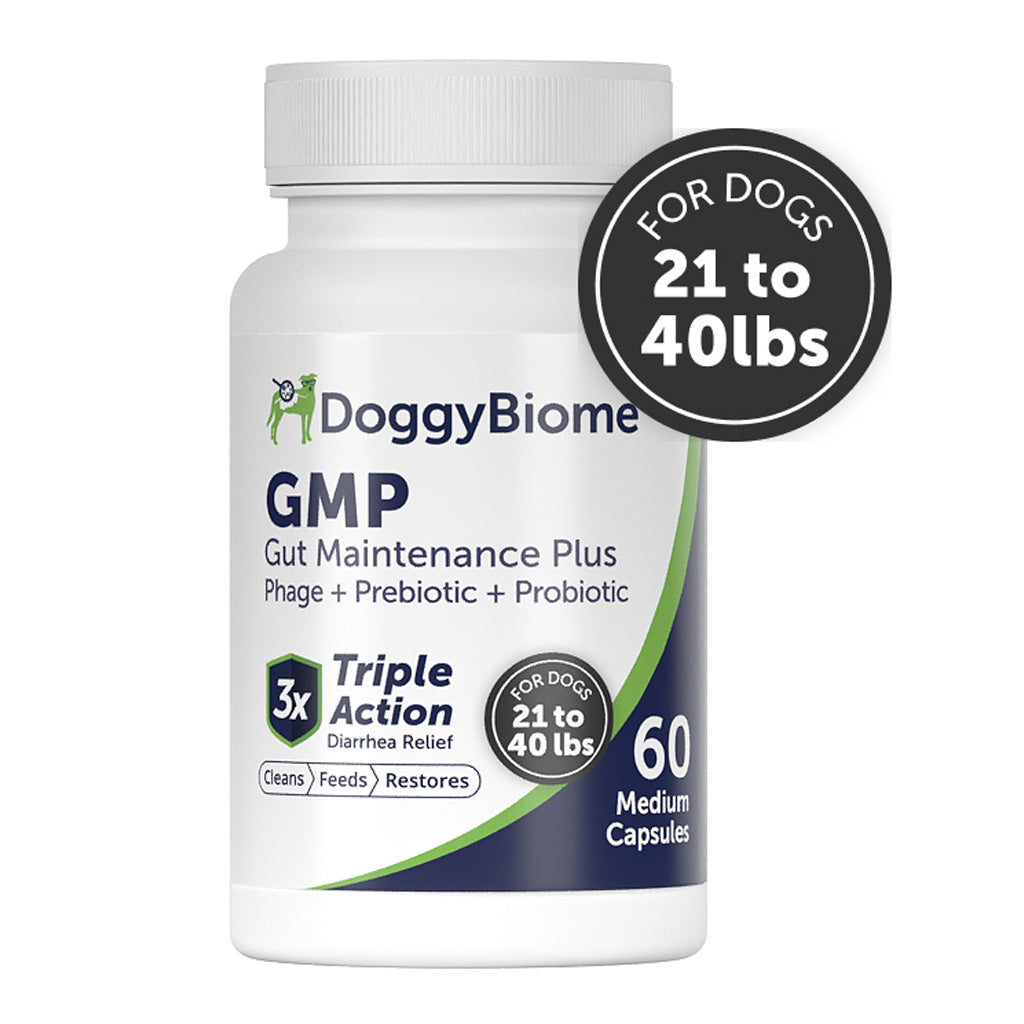Doggy Biome GMP Gut Maintenance Plus for Dogs, 60-count