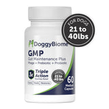 Doggy Biome GMP Gut Maintenance Plus for Dogs, 60-count