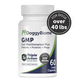 Doggy Biome GMP Gut Maintenance Plus for Dogs, 60-count