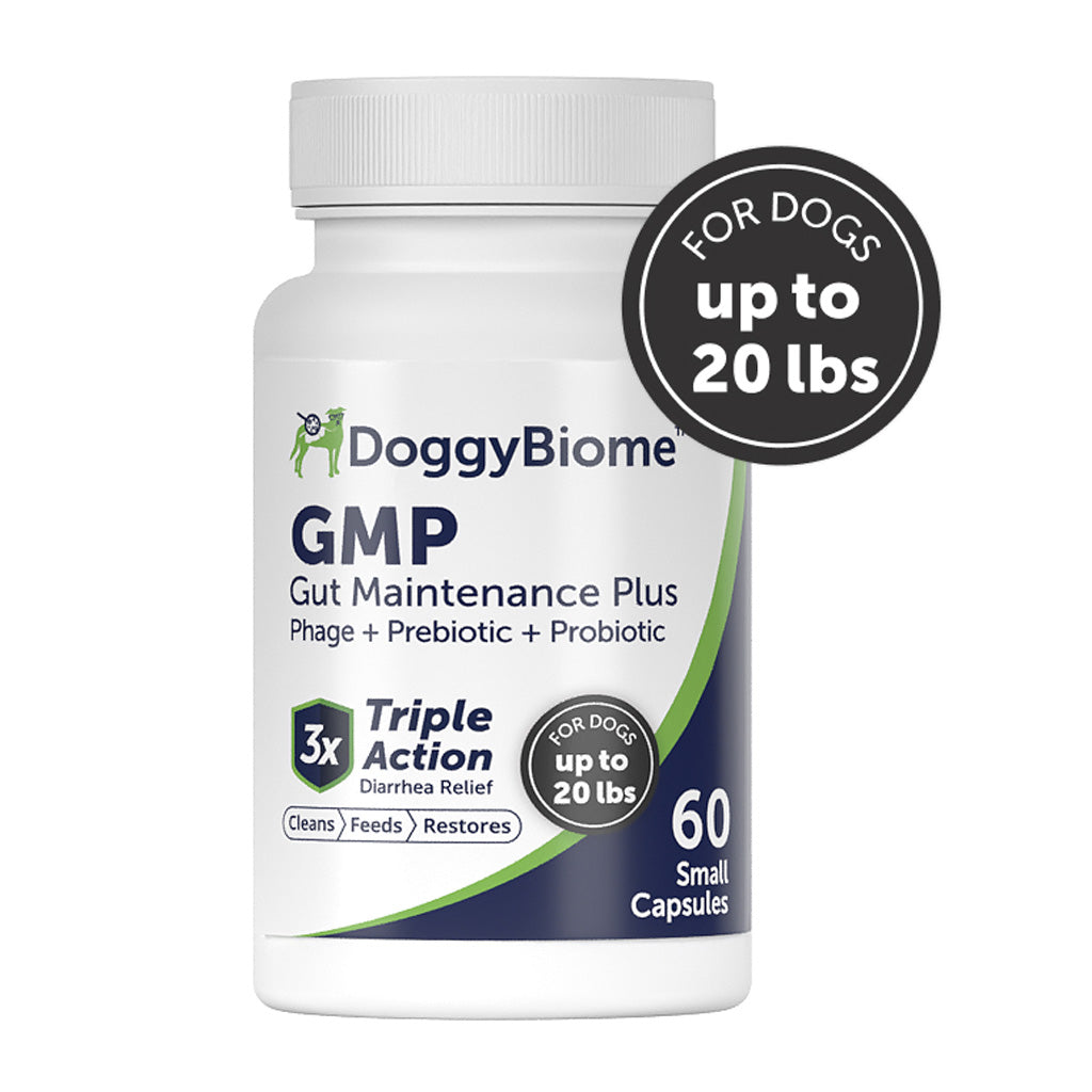 Doggy Biome GMP Gut Maintenance Plus for Dogs, 60-count
