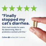 Kitty Biome GMP Gut Maintenance Plus Triple Action for Cats, 60 small capsules
