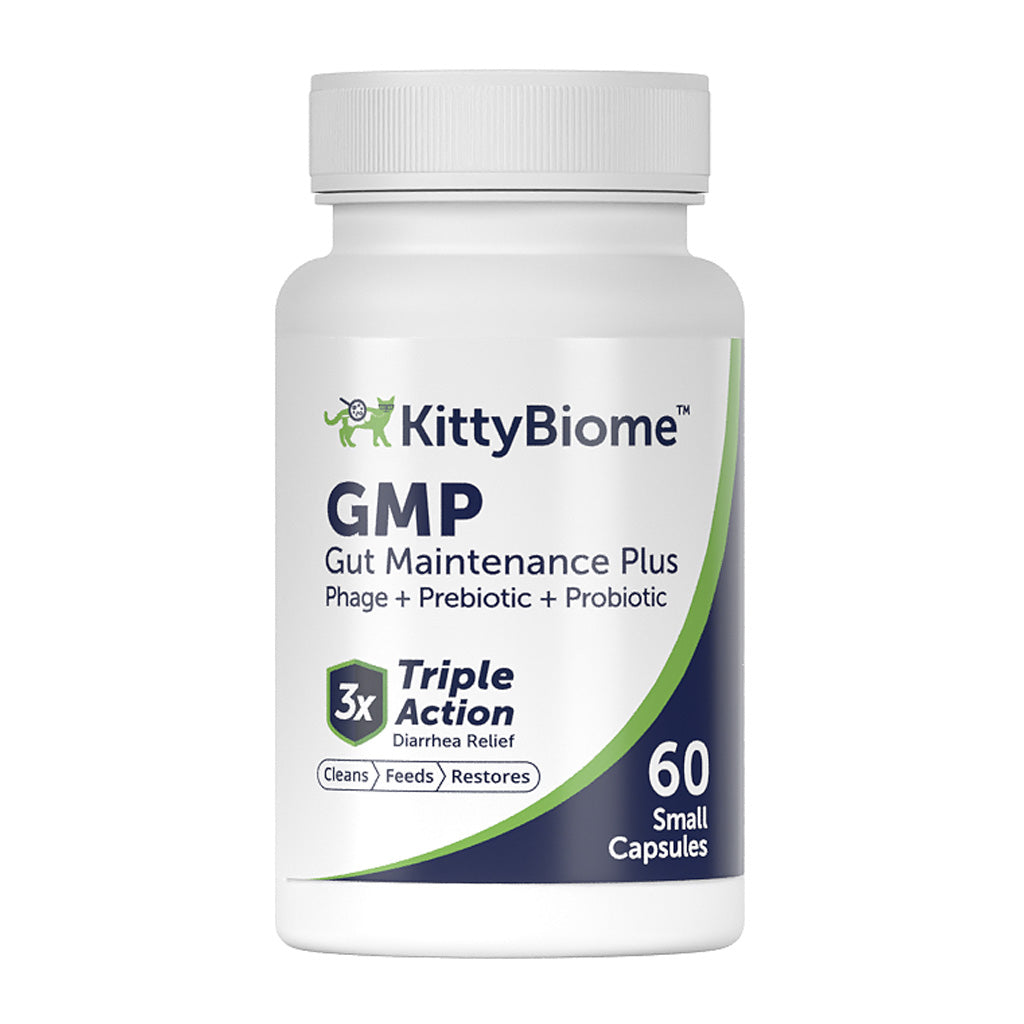 Cat Supplements