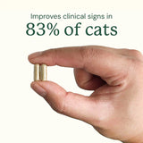 Kitty Biome Gut Restore Supplement FMT Capsules for Cats