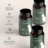 Kitty Biome Gut Restore Supplement FMT Capsules for Cats