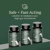 Doggy Biome Gut Restore Supplement FMT Capsules for Dogs