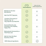 Doggy Biome Gut Restore Supplement FMT Capsules for Dogs