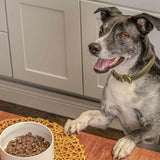 Badlands Ranch Superfood Complete Premium Air Dried Chicken Dog Food