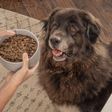 Badlands Ranch Superfood Complete Premium Air Dried Lamb & Venison Dog Food
