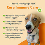 CORE IMMUNE CARE Daily Antioxidant and Nutritional Supplement for Dogs and Cats (3.7 oz)
