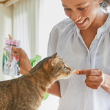 Inaba Grilled Tuna Fillet Extra Tender in Tuna Flavored Broth Cat Treat, 0.52-oz