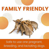ZoGuard Plus for Dogs - Medium 23 - 44 lb. - 3 applications