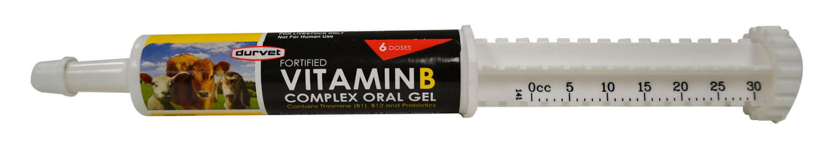 Durvet Fortified Vitamin B Complex Oral Gel (30 ml)