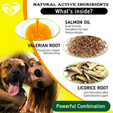 Beloved Pets Anti Itch & Allergy Relief Chews Dog Allergy Supplement, 10-oz
