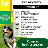 Beloved Pets Anti Itch & Allergy Relief Chews Dog Allergy Supplement, 10-oz