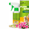 Beloved Pets Natural Flea & Tick Home Spray for Dogs & Cats, 8.5-oz