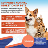 Beloved Pets Probiotic & Prebiotic Plus Enzymes for Cats & Dogs (2 oz)