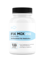 Fix Mox (Amoxicillin)