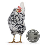 Chicken Snack Ball – 100% Recycled, Foraging & Play Feeder