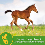 Farnam Grow Colt Growth & Development Horse Supplement