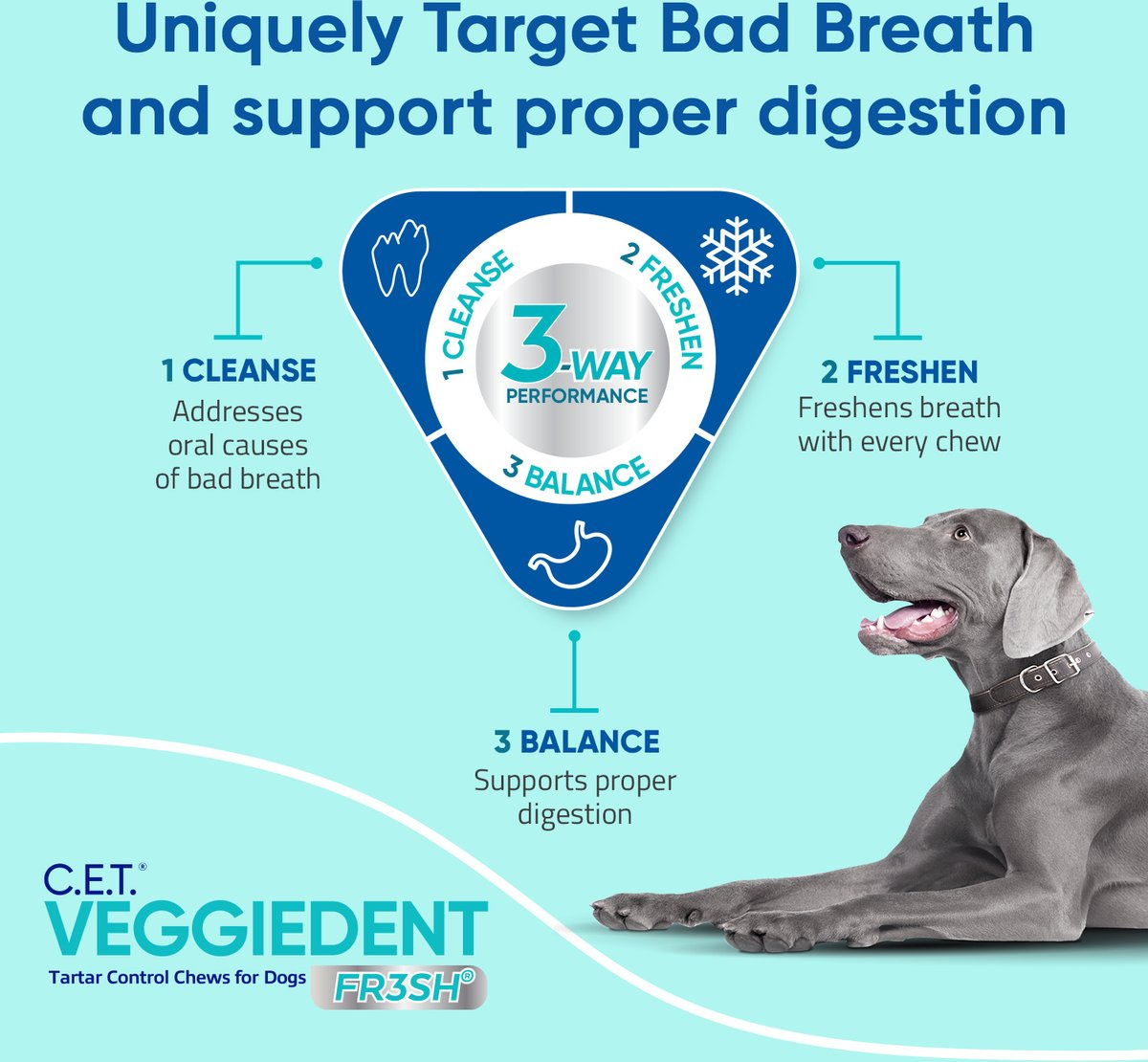 C.E.T. VeggieDent Fr3sh for Large Dogs Over 66 lbs