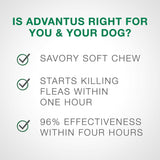Advantus Flea Oral Treatment for Small Dogs 4-22 lbs