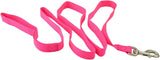Jeffers 1-Ply Web Nylon Dog Leashes