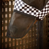 Jeffers Expression Deluxe Mesh Horse Fly Mask with Ears and Nose