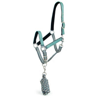 Spruce Stirrup Irons