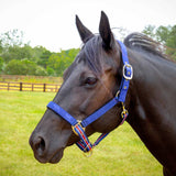 Jeffers Matching Horse Halter & Lead Rope 2 Piece Set, Full Size