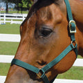 Jeffers Turnout Nylon Horse Halters, 2-Ply, 1"