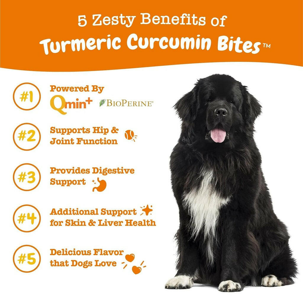 Zesty Paws Turmeric Curcumin Bites Duck Flavored Chews for Dog (90 ct)