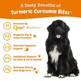 Zesty Paws Turmeric Curcumin Bites Duck Flavored Chews for Dog (90 ct)