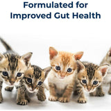 KMR Goat's Milk Kitten Milk Replacer Liquid (11 oz)