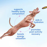 Native Pet Goat Milk Powder Recovery & Energy Support For Active Dogs