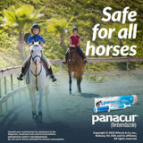 Panacur Equine Paste 10% Horse Dewormer, 25g