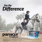 Panacur Powerpac Equine Paste 10% Horse Dewormer, 57g, 5-count