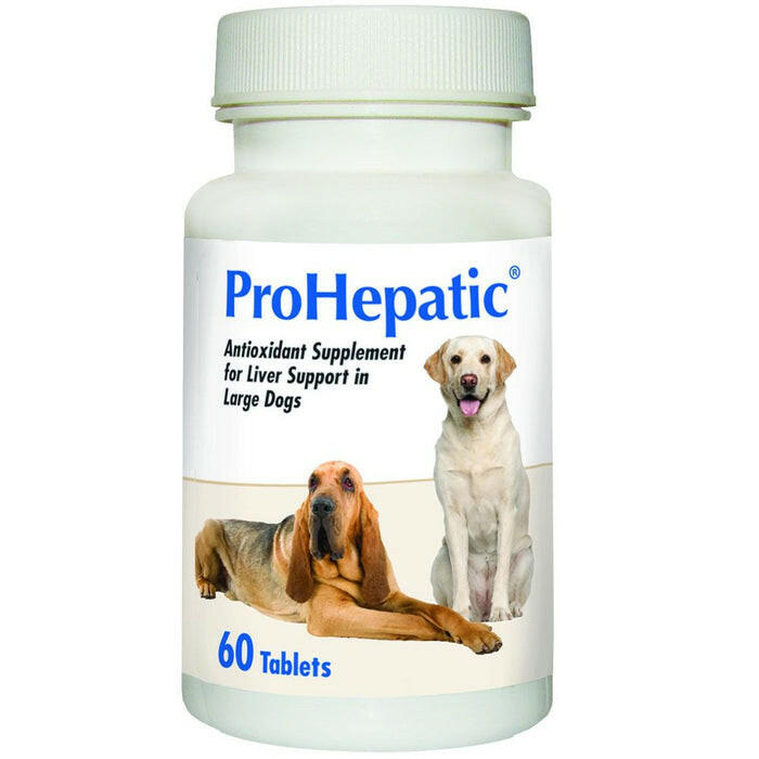 ProHepatic Liver Support Supplement for Large Dogs