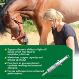 Ramard Total Respiratory & Endurance Paste For Horses (15 cc)