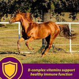 Red Cell Vitamin-Iron-Mineral Supplement for Horses (Gallon)