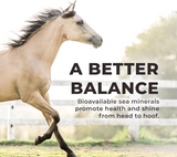 Redmond Daily Red Crushed Loose Mineral Salt For Horses