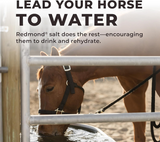 Redmond Daily Red Crushed Loose Mineral Salt For Horses