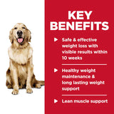 Hill's Science Diet Adult Perfect Weight Canned Dog Food, Hearty Vegetable & Chicken Stew (12.5 oz x 12 cans)