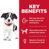 Hill's Science Diet Puppy Chicken Recipe with No Corn, Wheat or Soy Dry Dog Food