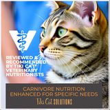 Tiki Cat Solutions Liquid Meal Replacer Tuna in Goat's Milk for Cats (6 oz x 6 pouches)
