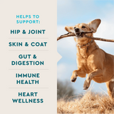 VetIQ 8-in-One Multi Functional Supplement for Dogs (60 soft chews)
