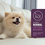 VetIQ Calming Soft Chew Supplement for Dogs (60 soft chews)
